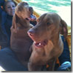 PAT CON MURPHY E TINA